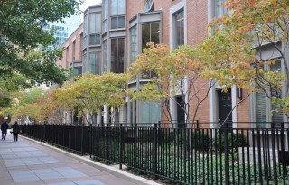 Streeterville Townhome