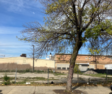 Logan Square Vacant Land for Sale on Armitage